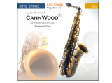 CannWood Saxophone_ _ Professional Class _ CAS_5700BS _